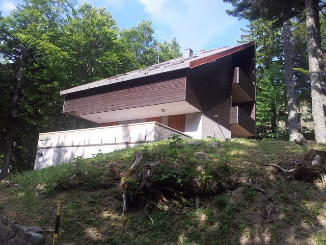 2012-07-31-17-54-16-640×480