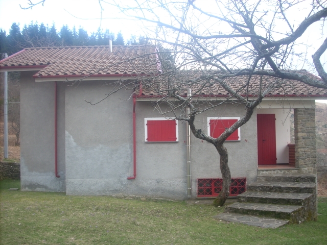 DSCN1378 (640×480)