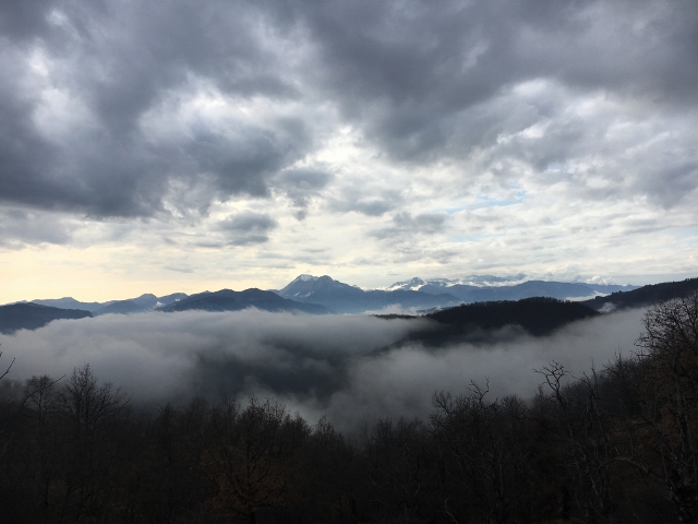 IMG_1909 (640×480)