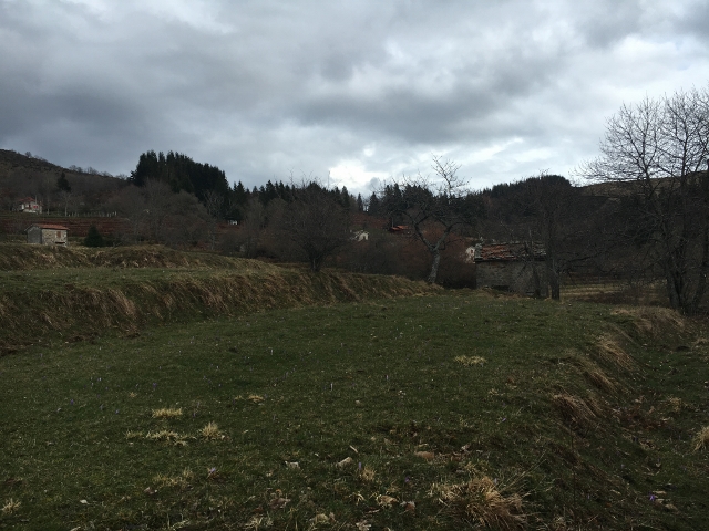 IMG_1910 (640×480)