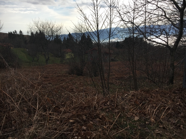 IMG_1916 (640×480)