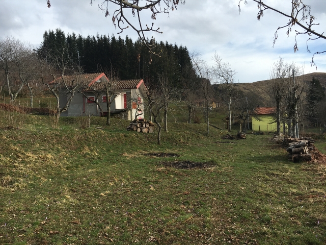 IMG_1930 (640×480)