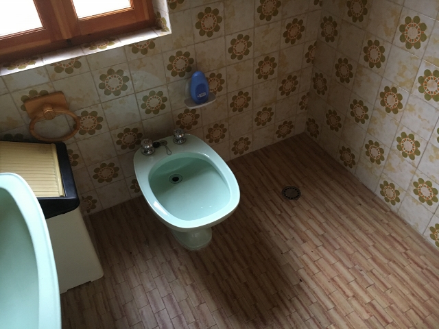IMG_1971 (640×480)