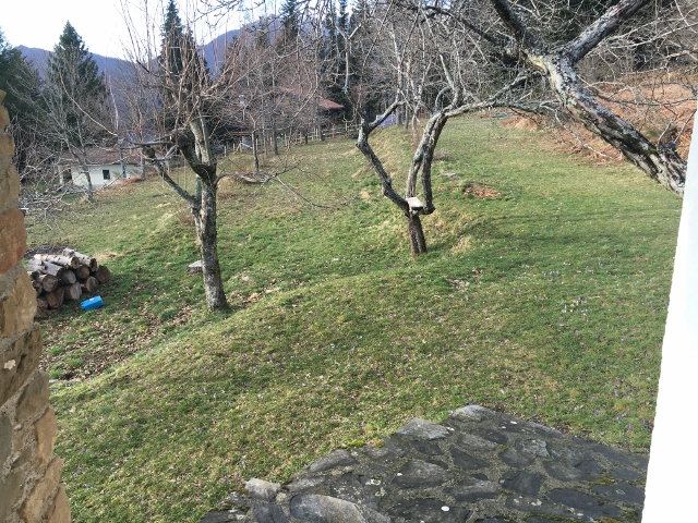IMG_1995 (640×480)