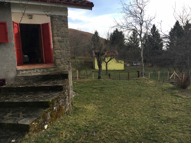 IMG_2001 (640×480)