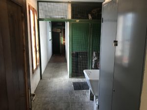 Appartamento Trilocale Dogana-Nuova Fiumalbo Mq 55 Piano Terzo Terrazzo Cantina