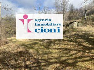 Azienda Agricola Rudere Melo-Cutigliano Mq 600 Podere 19 Ettari