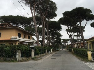 Villa con Piscina Pietrasanta Tonfano Mq 450
