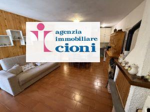 Monolocale Indipendente Via-Bagatti Abetone Mq 45 Piano Terra Giardino e Resede Mq 50 Caminetto Stufa Legna Riscaldamento Indipendente Elettrico e Termo-Convettore Gas GPL