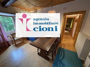 Trilocale indipendente La-Consuma Abetone Mq 60 Piano Primo Parquet Caminetto