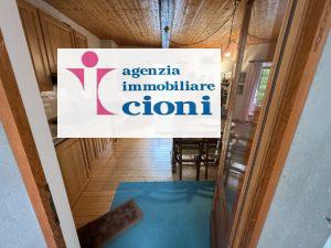 Trilocale indipendente La-Consuma Abetone Mq 60 Piano Primo Parquet Caminetto