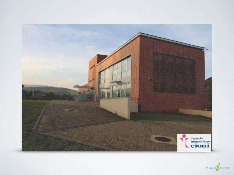 Affitto-Fondo-Commerciale-D1-Mq-400-Grassina-Scolivigne-Bagno-a-Ripoli-Giardino-Mq-100-Posti-auto-14-34