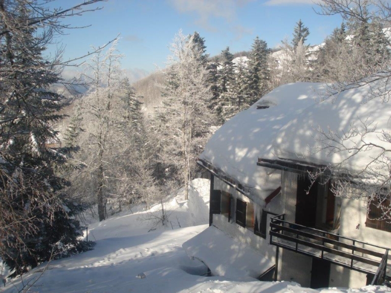 Affitto Monolocale Indipendente Via-Bagatti Abetone Mq 45 Piano Terra 3 Posti Letto Giardino Mq 50 Camino Wifi (1)