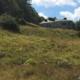 Appartamento-Quattro-Vani-Abetone-Uccelliera-Bar-Alp-113