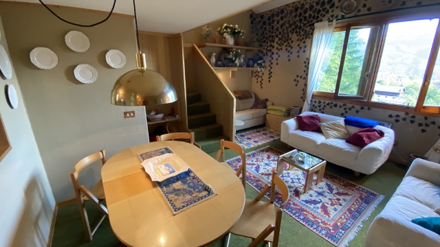 Bilocale Due-Livelli Uccelliera Abetone Mq 50 Piano Terzo Terrazzo Giadino Cantina Garage (29)