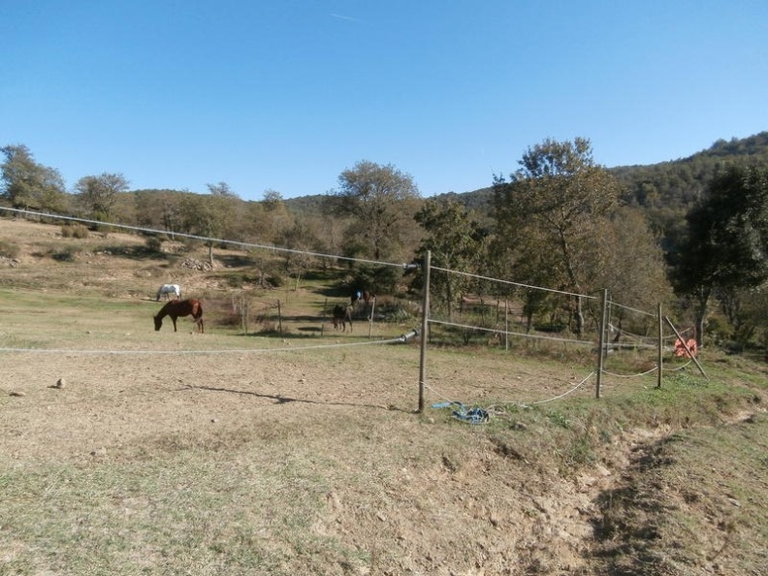 Casali Mq 340 Podere 9 Ettari Maneggio Ambra Bucine Arezzo (90)