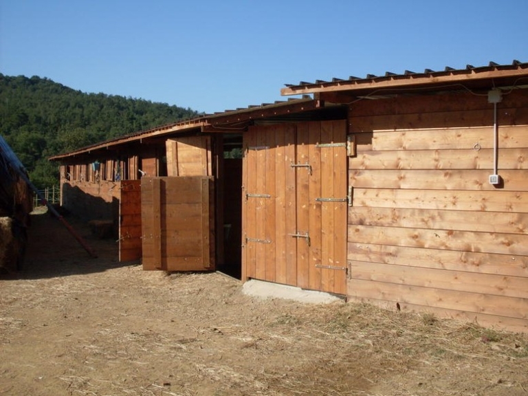 Casali Mq 340 Podere 9 Ettari Maneggio Ambra Bucine Arezzo (92)
