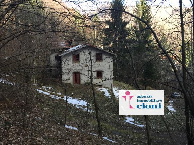 Due-Casali-Rustici-Pian-Degli-Ontani-Mq-300-Terreno-Mq-13000-10