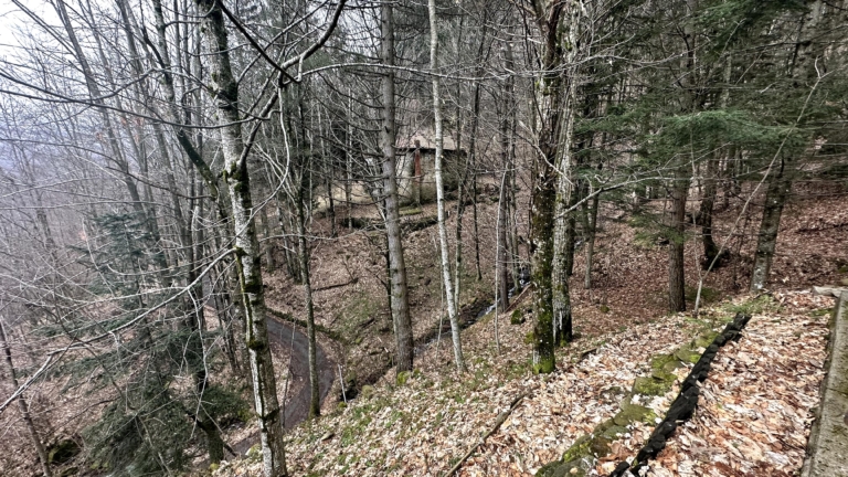 Due Casali Rustici Pian-degli-Ontani Cutigliano Mq 300 Terreno Mq 13000 Sorgente Acqua