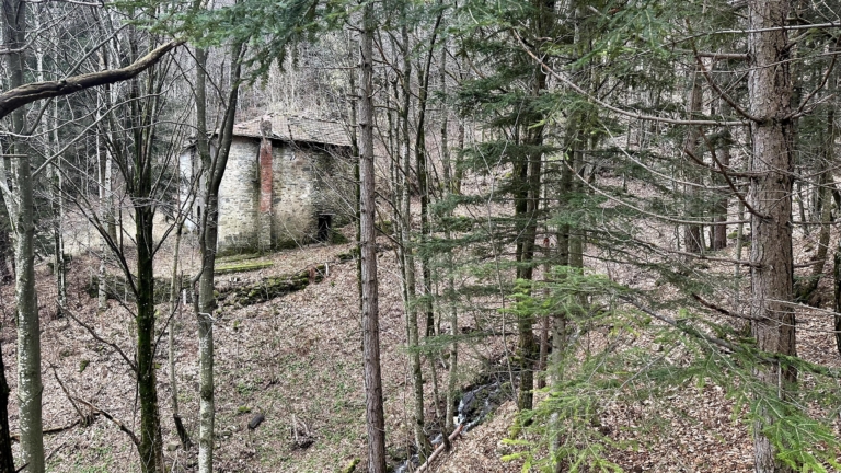 Due Casali Rustici Pian-degli-Ontani Cutigliano Mq 300 Terreno Mq 13000 Sorgente Acqua