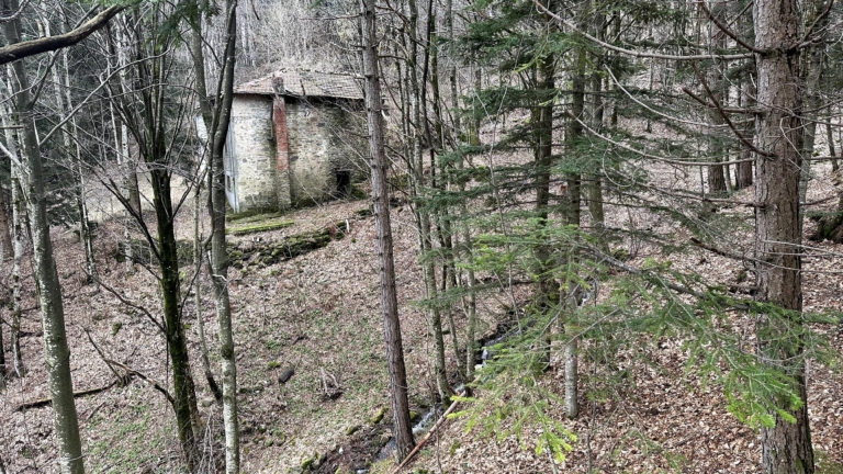 Due Casali Rustici Pian-degli-Ontani Cutigliano Mq 300 Terreno Mq 13000 Sorgente Acqua