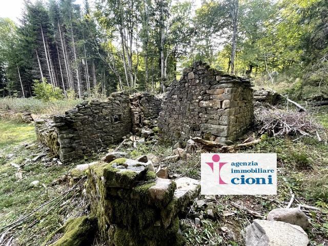 Rudere-Mq-20-Terreno-Bosco-1-Ettaro-Le-Tagliole-Lago-Santo-Pievepelago-19