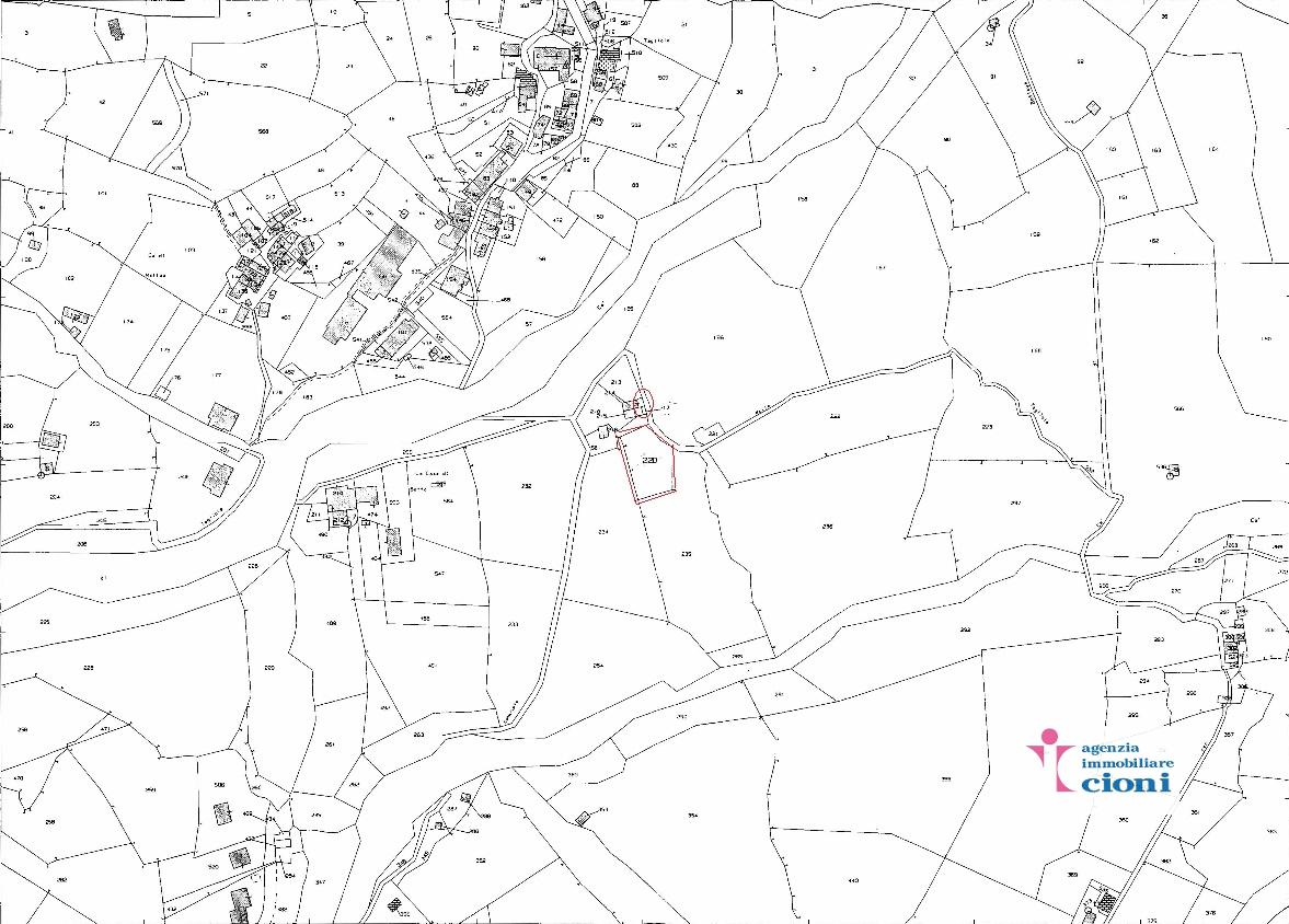 img20210816_09073102_Pagina_3-1280×908-1