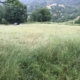 Progetto Tre Ville Celtiche su Lotto Terreno Edificabile Fiumalbo Via Macerino Zona Via Lago (1)