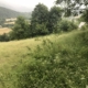Progetto Tre Ville Celtiche su Lotto Terreno Edificabile Fiumalbo Via Macerino Zona Via Lago (4)